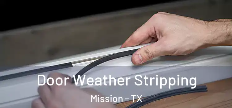 Door Weather Stripping Mission - TX