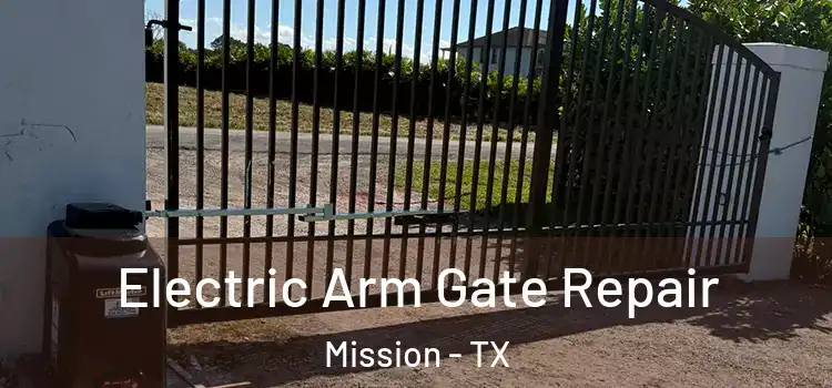 Electric Arm Gate Repair Mission - TX