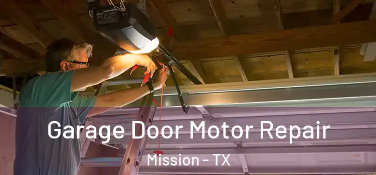  Garage Door Motor Repair Mission - TX