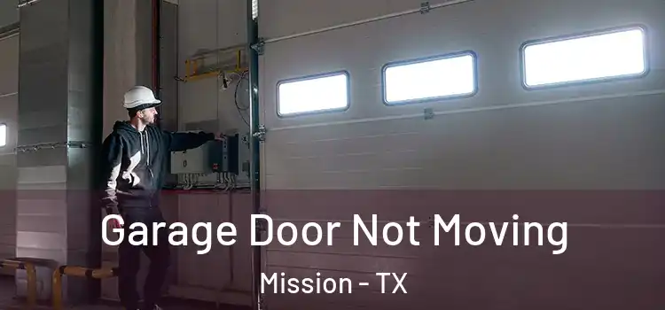  Garage Door Not Moving Mission - TX