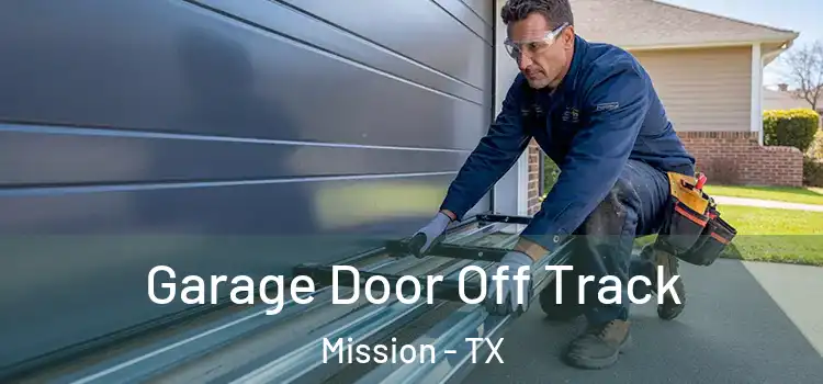  Garage Door Off Track Mission - TX