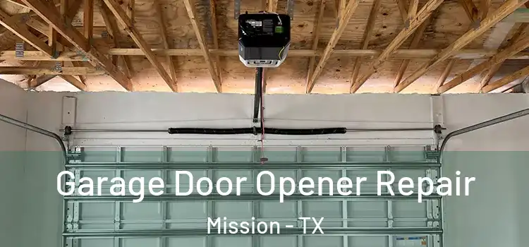  Garage Door Opener Repair Mission - TX