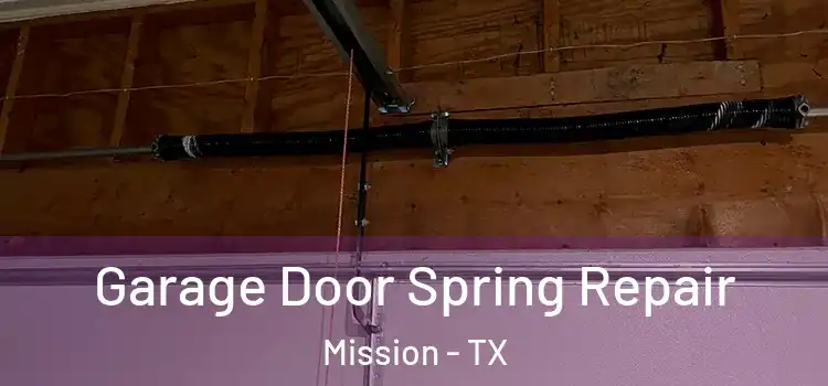  Garage Door Spring Repair Mission - TX