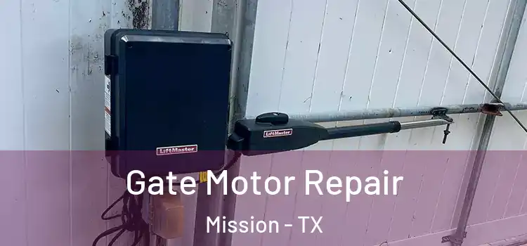 Gate Motor Repair Mission - TX