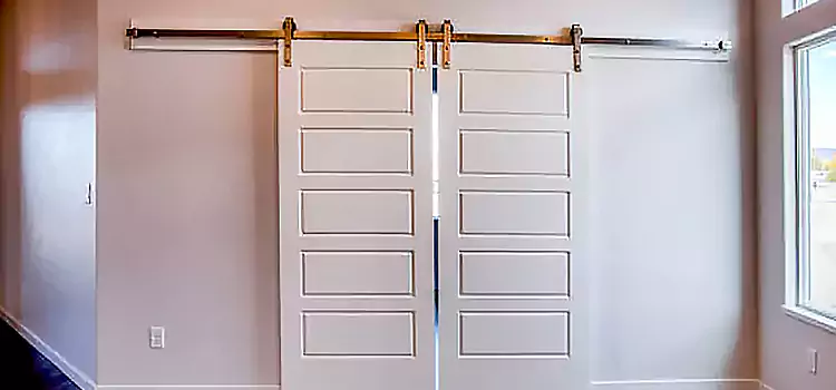 Glass Barn Door with Installation Hardware Kit Mission