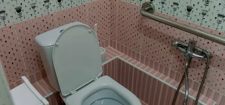 Meeting Diverse Needs With Accessible Restroom Solutions in Mission, TX