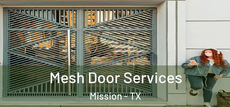 Mesh Door Services Mission - TX