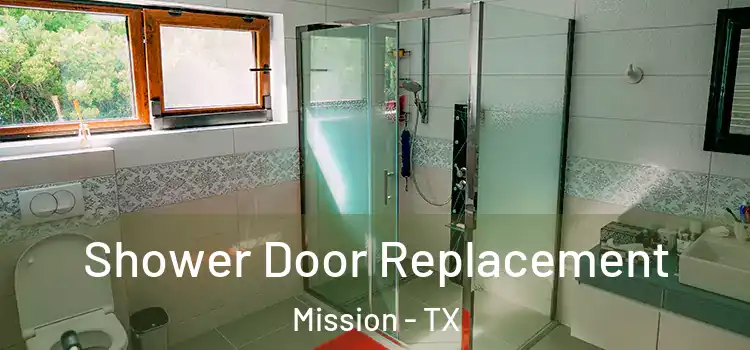 Shower Door Replacement Mission - TX
